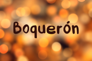 Boquerón: A Handwritten Brush Font