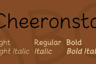 Cheeronsta: A Strategic Choice for Design, Communication, and Brand Identity