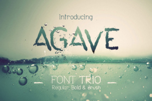 The Agave Font Trio: A Perfectly Paired Set for Versatile Design